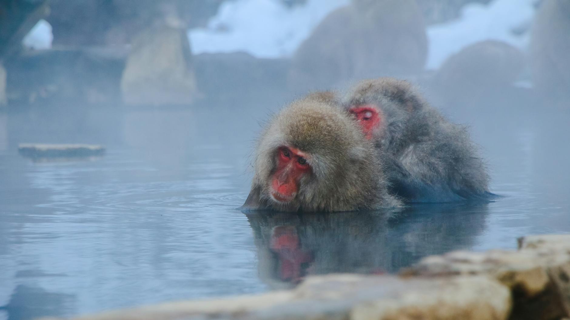 温泉